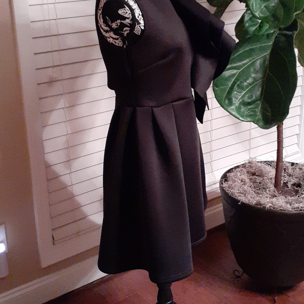 Dress - Picture 4 of 5